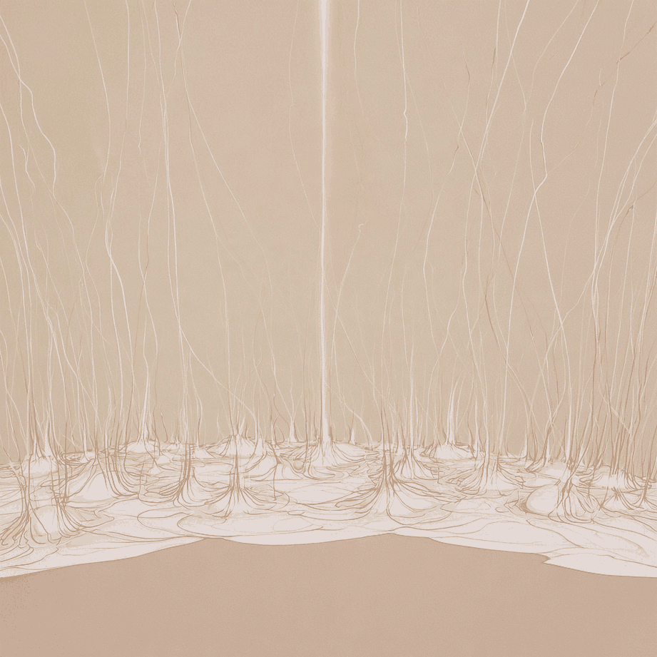 PRP Hair treatment at Aesthete Clinic